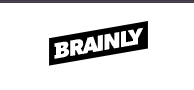  Brainly AI